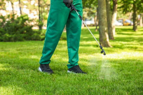 Long Island Lawn Treatment
